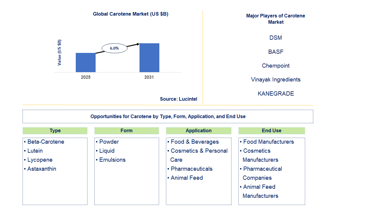Carotene Market Trends and Forecast