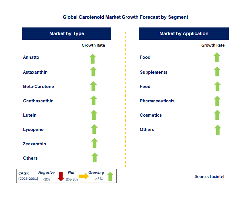 Carotenoid Market by Segment