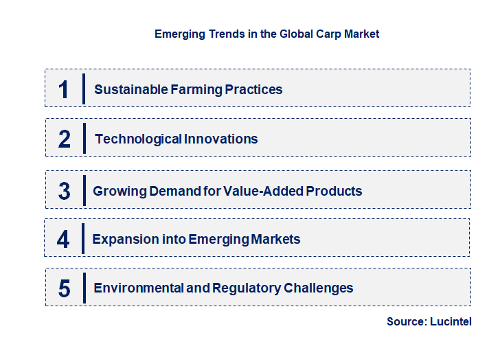 Emerging Trends in the Carp Market