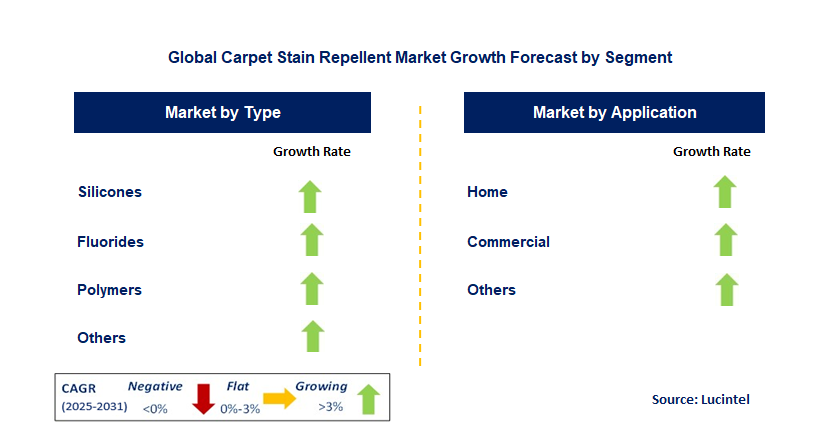 Carpet Stain Repellent Market by Segment