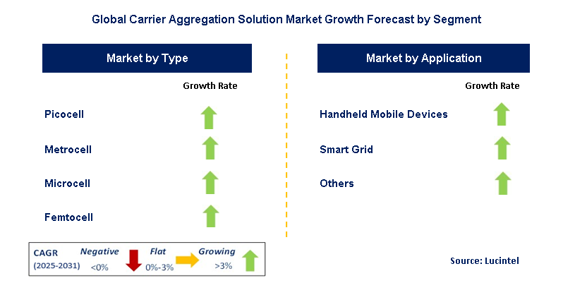 Carrier Aggregation Solution Market by Segment
