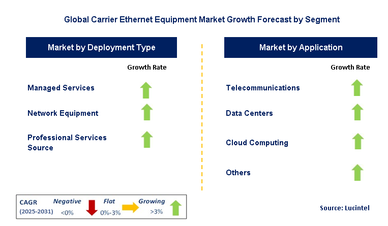 Carrier Ethernet Equipment Market by Segment