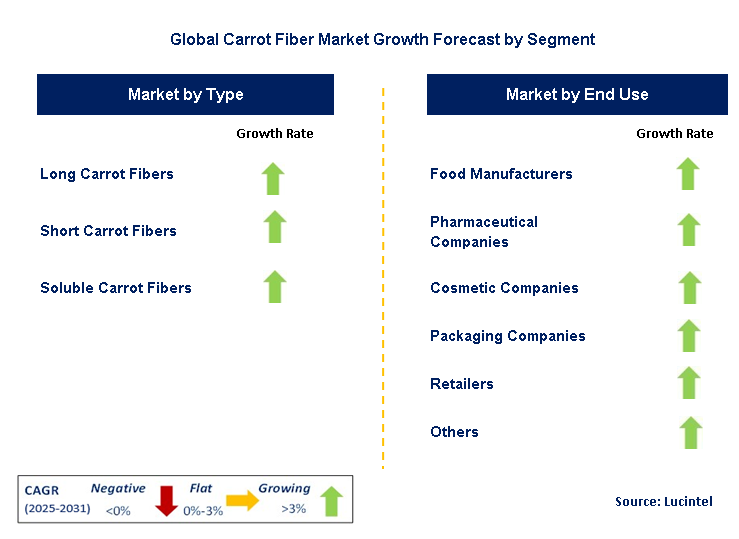 Carrot Fiber Market by Segment