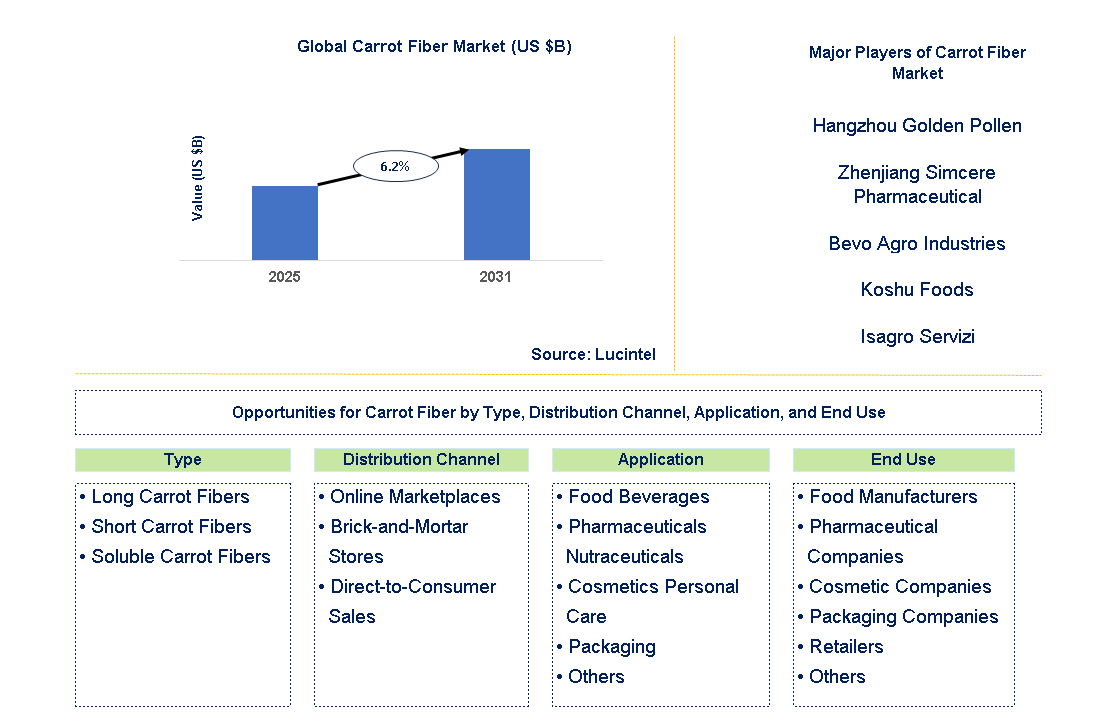 Carrot Fiber Market Trends and Forecast