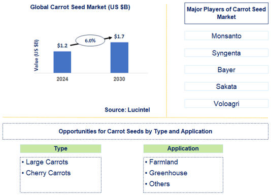 Carrot Seed Market Trends and Forecast
