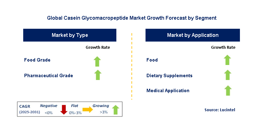 Casein Glycomacropeptide Market by Segment