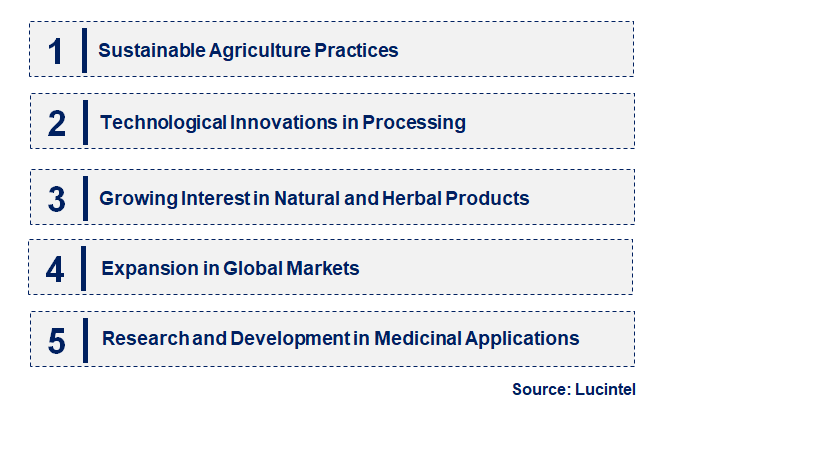 Emerging Trends in the Cassia Tora Seed Market