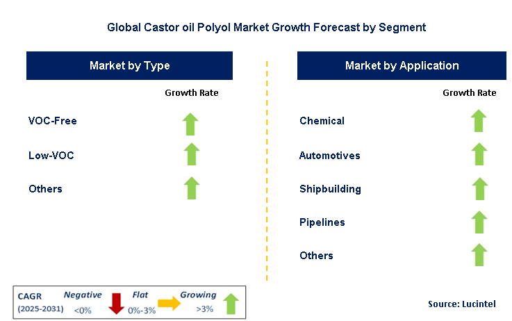 Castor oil Polyol Market by Segment