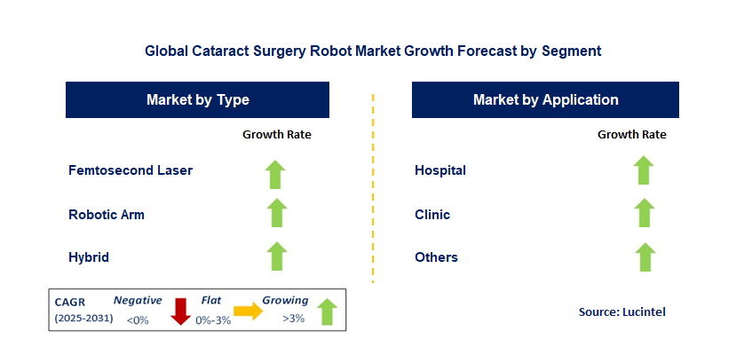 Cataract Surgery Robot Market by Segment