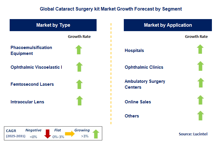 Cataract Surgery Kit Market by Segment