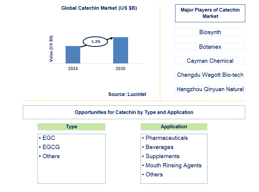 Catechin Trends and Forecast