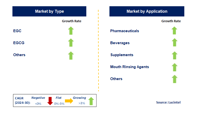 Catechin by Segment