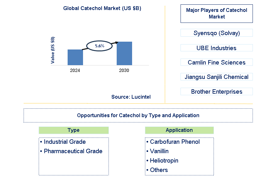 Catechol Trends and Forecast Catechol Trends and Forecast
