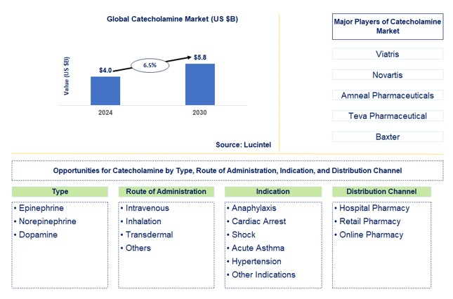 Catecholamine Trends and Forecast