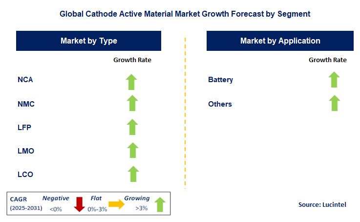 Cathode Active Material Market by Segment
