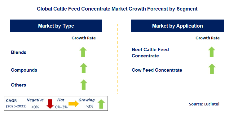 Cattle Feed Concentrate Market by Segment