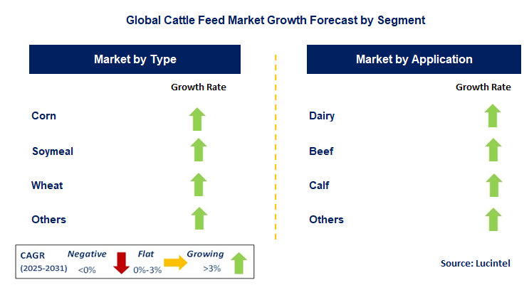 Cattle Feed Market by Segment