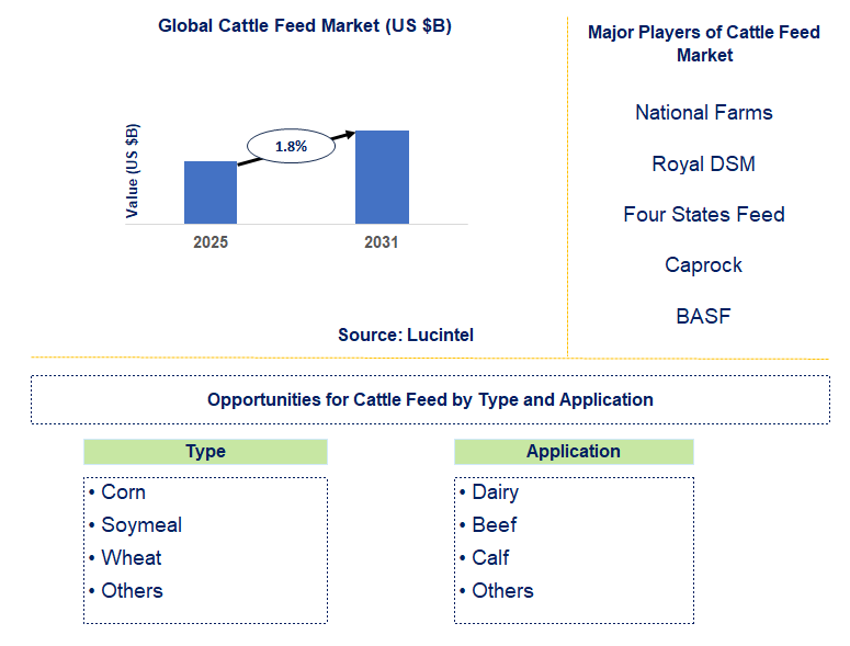 Cattle Feed Market Trends and Forecast