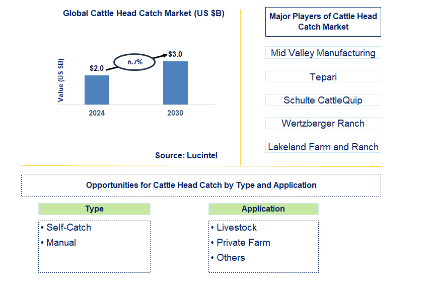 Cattle Head Catch Trends and Forecast