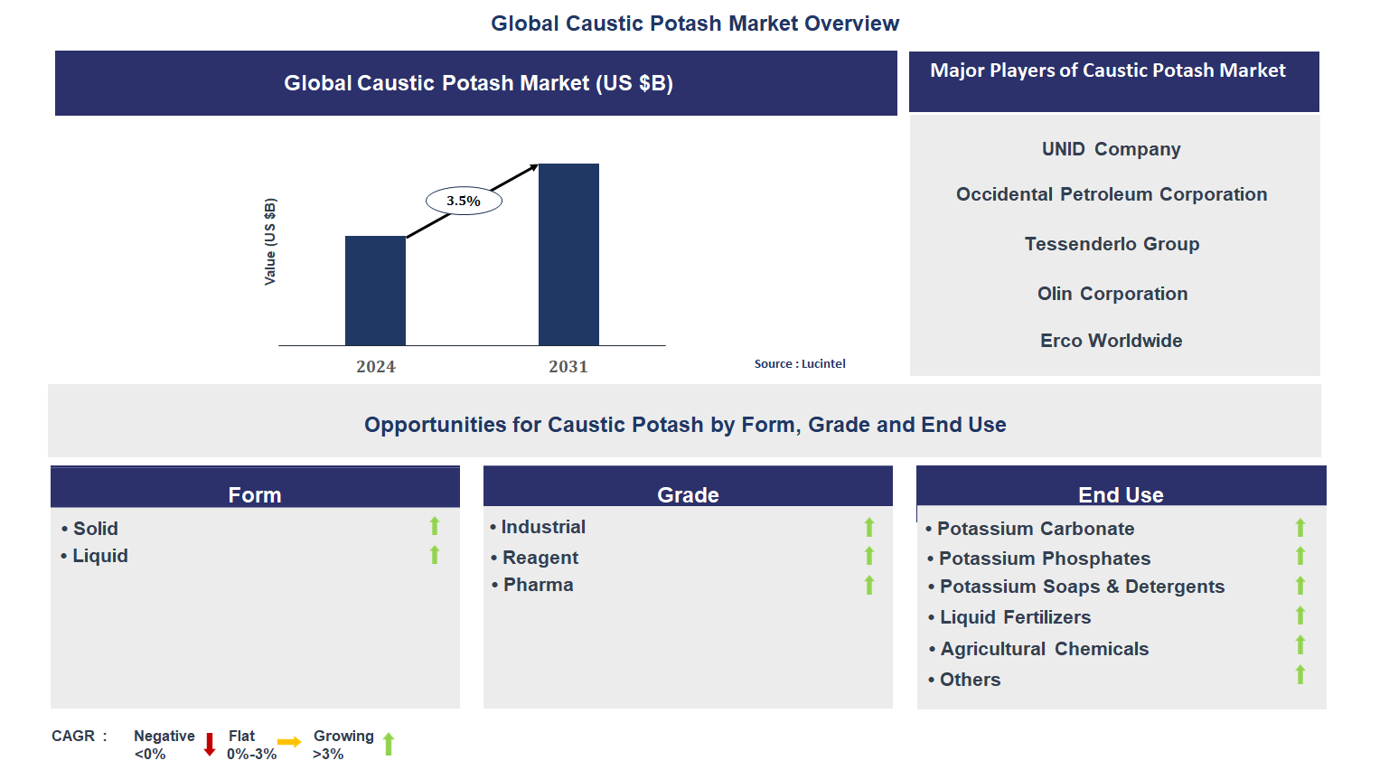 Caustic Potash Market Trends and Forecast