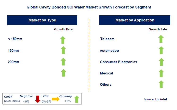 Cavity Bonded SOI Wafer Market by Segment