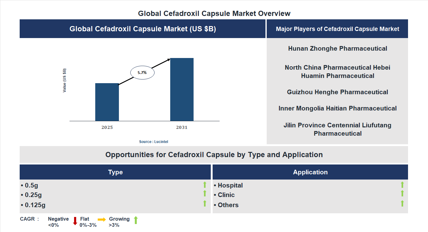 Cefadroxil Capsule Market Trends and Forecast