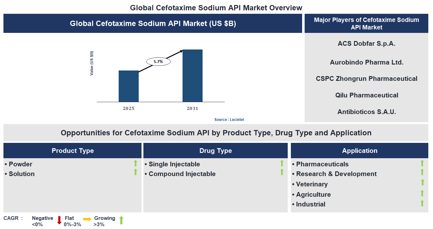 Cefotaxime Sodium API Market Trends and Forecast