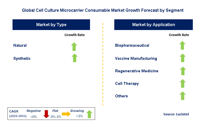 Cell Culture Microcarrier Consumable Market by Segment