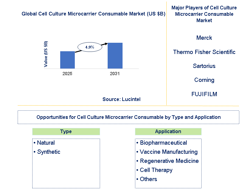 Cell Culture Microcarrier Consumable Market Trends and Forecast
