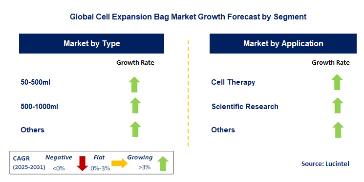 Cell Expansion Bag Market by Segment