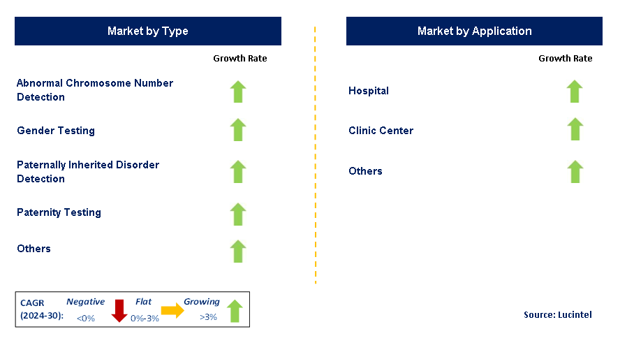 Cell Free Fetal DNA Testing by Segment