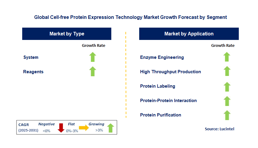 Cell-Free Protein Expression Technology Market by Segment