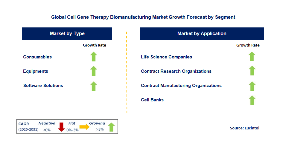 Cell Gene Therapy Biomanufacturing Market by Segment