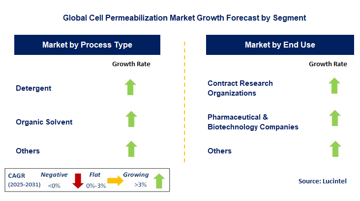 Cell Permeabilization Market by Segment