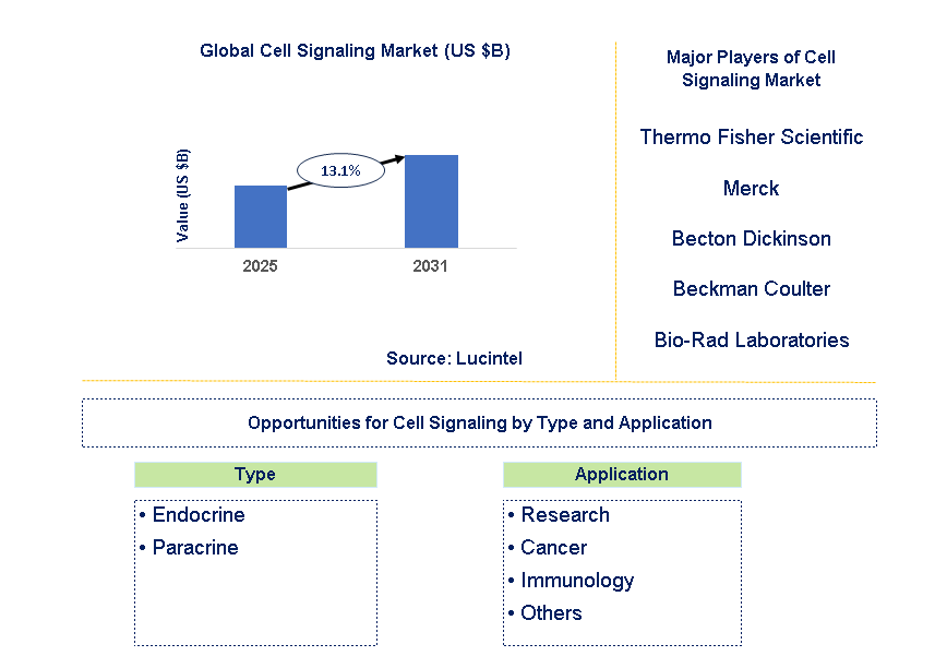 Cell Signaling Market Trends and Forecast