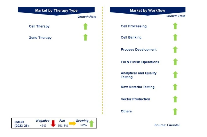 Cell & Gene Therapy Manufacturing Service Market by Segments