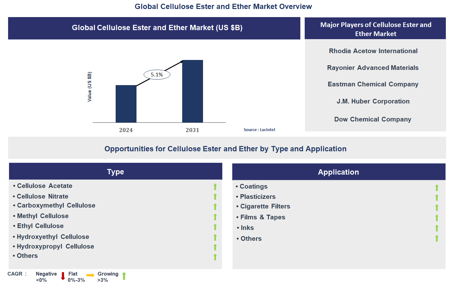 Cellulose Ester and Ether Market Trends and Forecast
