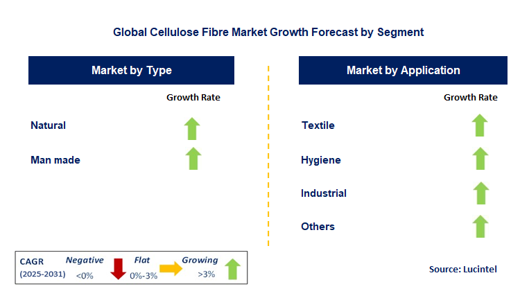 Cellulose Fibre Market by Segment