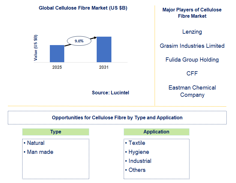 Cellulose Fibre Market Trends and Forecast