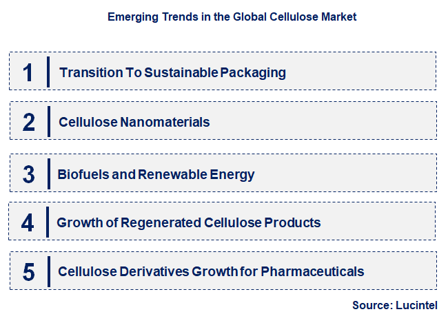 Emerging Trends in the Cellulose Market