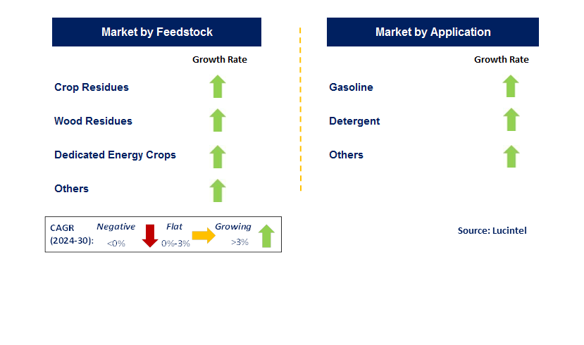 Cellulosic Ethanol by Segment