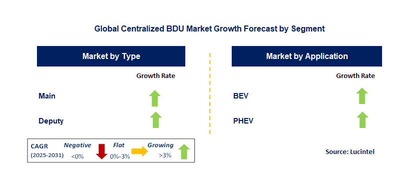 Centralized BDU Market by Segment