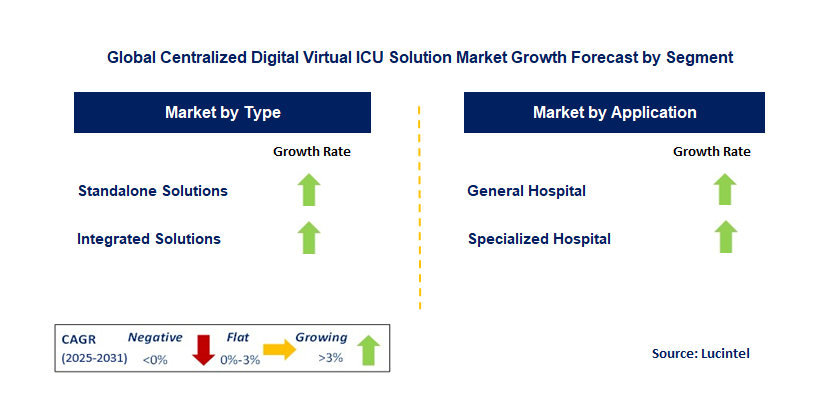 Centralized Digital Virtual ICU Solution Market by Segment