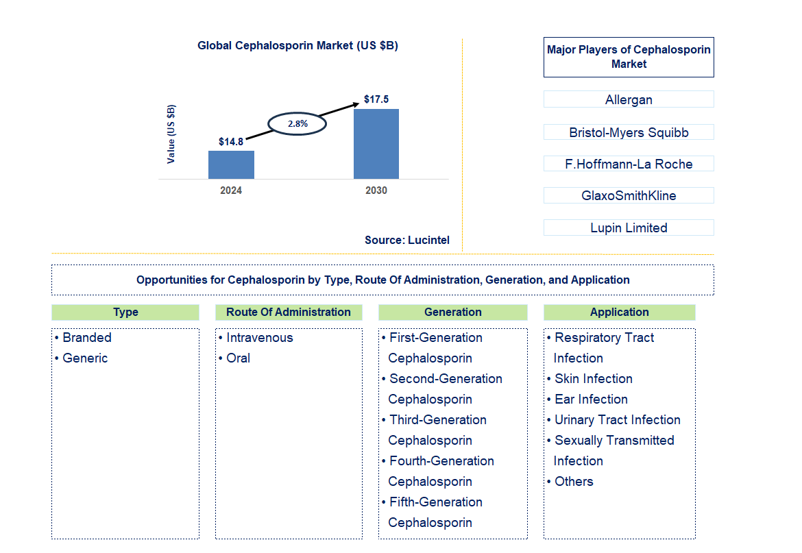 Cephalosporin Trends and Forecast