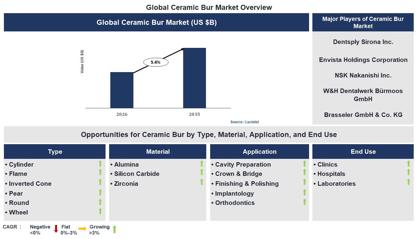 Ceramic Bur Market Trends and Forecast
