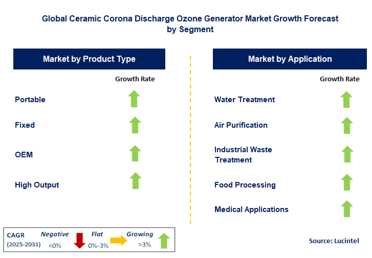 Ceramic Corona Discharge Ozone Generator Market by Segment