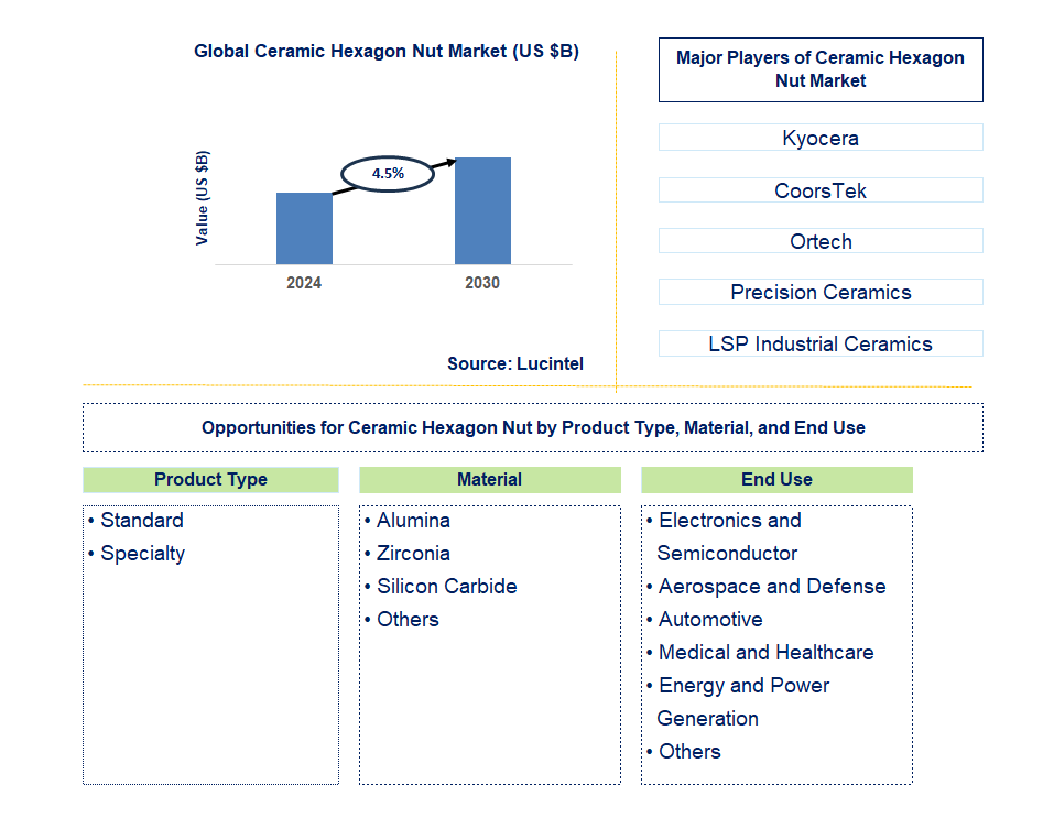 Ceramic Hexagon Nut Trends and Forecast