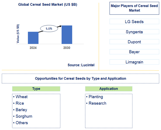 Cereal Seed Market Trends and Forecast