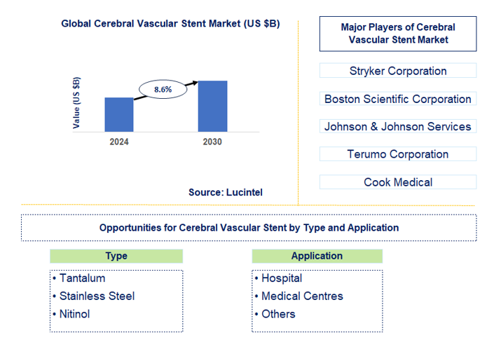 Cerebral Vascular Stent Market Trends and Forecast
