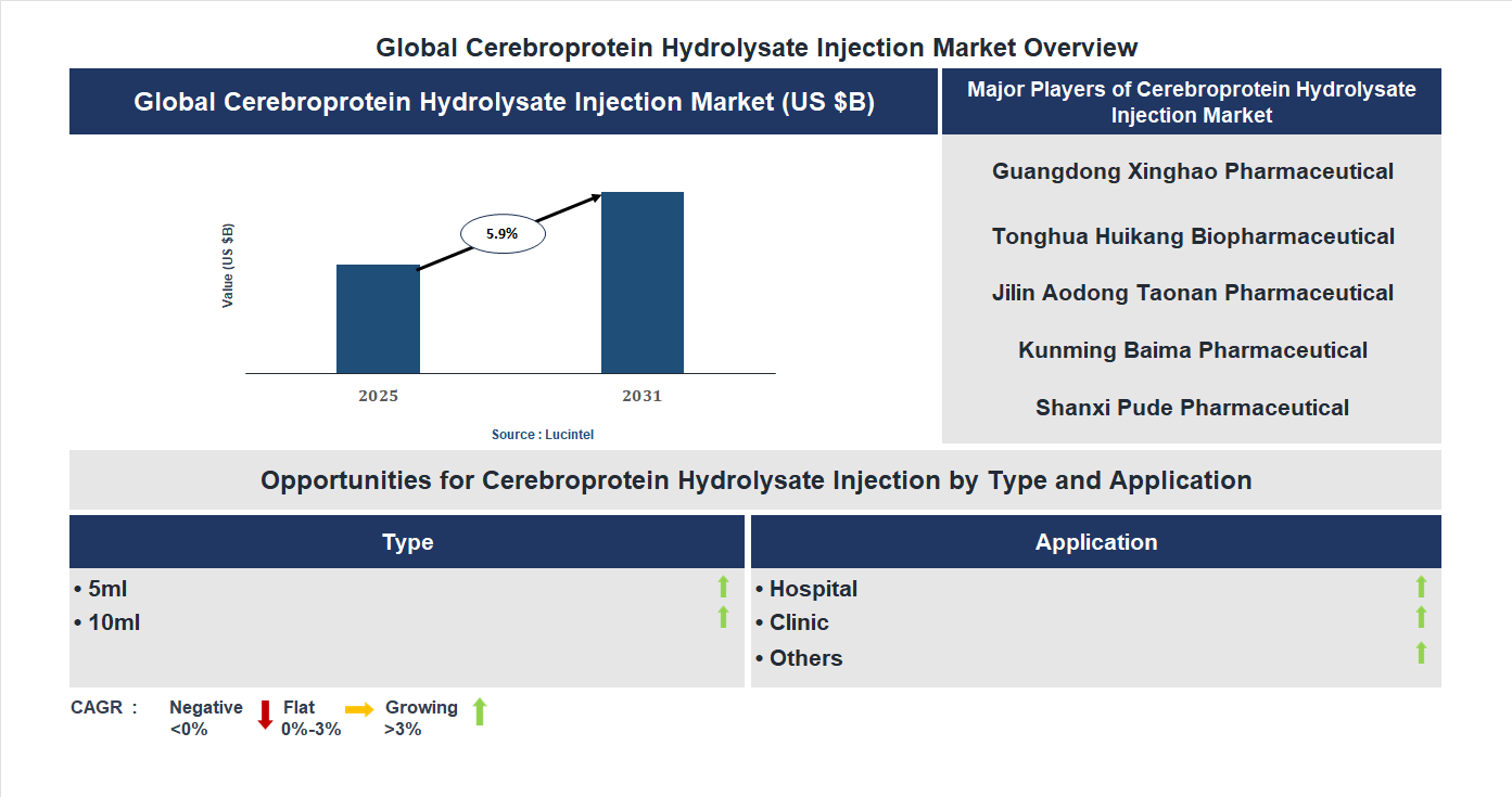 Cerebroprotein Hydrolysate Injection Market Trends and Forecast